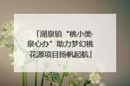 潮泉镇“桃小美·泉心办”助力梦幻桃花源项目扬帆起航