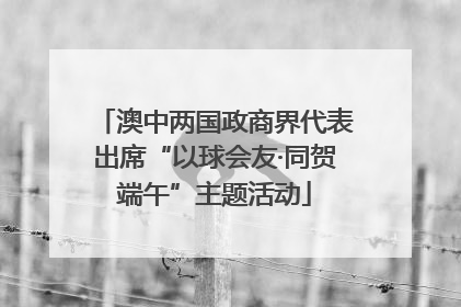 澳中两国政商界代表出席“以球会友·同贺端午”主题活动