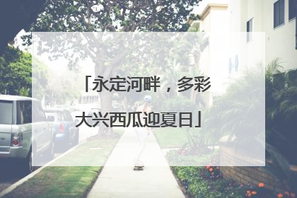 永定河畔，多彩大兴西瓜迎夏日