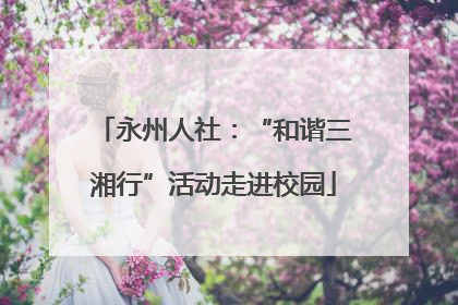 永州人社：“和谐三湘行”活动走进校园