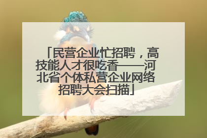 民营企业忙招聘，高技能人才很吃香——河北省个体私营企业网络招聘大会扫描