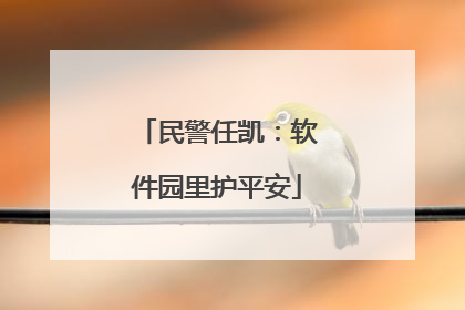 民警任凯：软件园里护平安