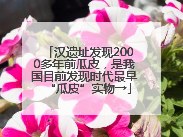 汉遗址发现2000多年前瓜皮，是我国目前发现时代最早“瓜皮”实物→