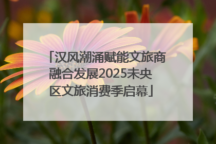汉风潮涌赋能文旅商融合发展2025未央区文旅消费季启幕
