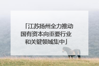 江苏扬州全力推动国有资本向重要行业和关键领域集中