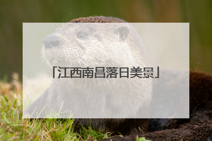 江西南昌落日美景