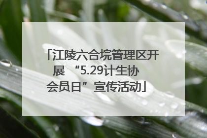 江陵六合垸管理区开展 “5.29计生协会员日”宣传活动