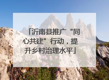沂南县推广“同心共建”行动，提升乡村治理水平