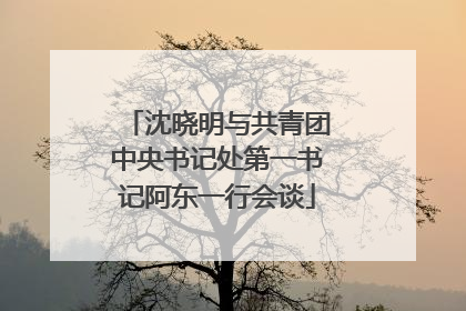 沈晓明与共青团中央书记处第一书记阿东一行会谈
