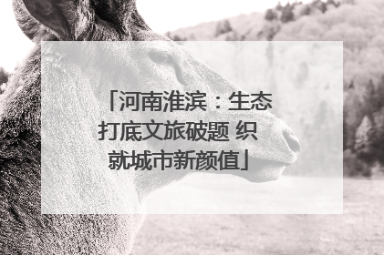 河南淮滨：生态打底文旅破题 织就城市新颜值