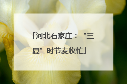 河北石家庄：“三夏”时节麦收忙