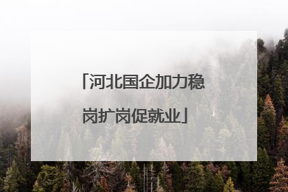 河北国企加力稳岗扩岗促就业