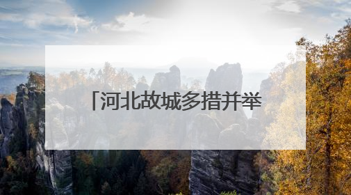 河北故城多措并举护航“三夏”生产 确保夏粮颗粒归仓