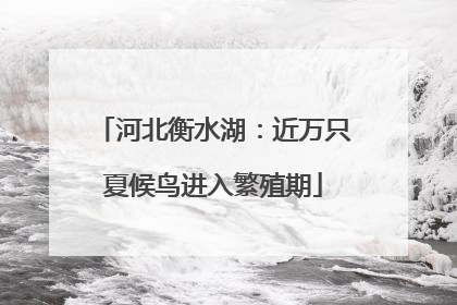 河北衡水湖：近万只夏候鸟进入繁殖期