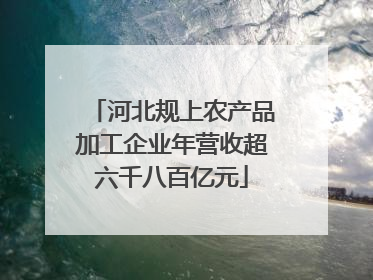 河北规上农产品加工企业年营收超六千八百亿元