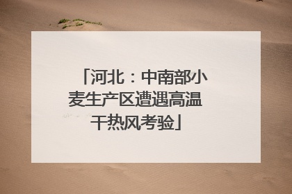 河北：中南部小麦生产区遭遇高温干热风考验
