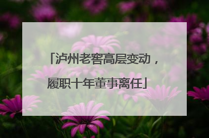 泸州老窖高层变动，履职十年董事离任