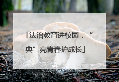 法治教育进校园，“典”亮青春护成长