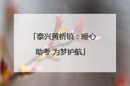 泰兴黄桥镇：暖心助考 为梦护航