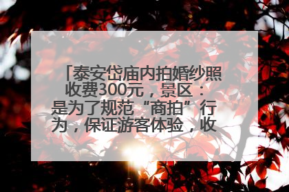 泰安岱庙内拍婚纱照收费300元，景区：是为了规范“商拍”行为，保证游客体验，收取费用全部上交国库