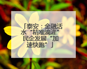 泰安：金融活水“精准滴灌” 民企发展“加速快跑”