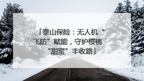 泰山保险：无人机“飞防”赋能，守护樱桃“甜蜜”丰收路