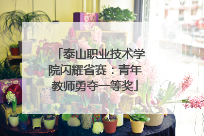 泰山职业技术学院闪耀省赛：青年教师勇夺一等奖