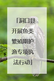 洞口县开展鱼类繁殖期护渔专项执法行动