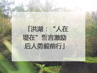 洪湖：“人在堤在”誓言激励后人勇毅前行