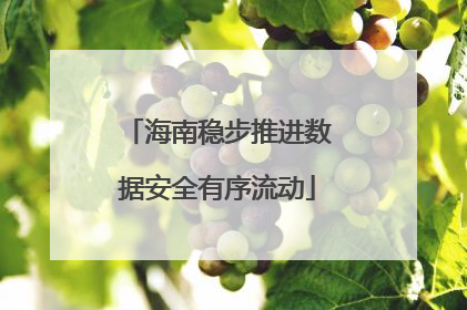 海南稳步推进数据安全有序流动