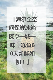 海尔全空间保鲜冰箱探享一城一味，冻鱼60天新鲜如初！