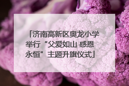 济南高新区奥龙小学举行“父爱如山 感恩永恒”主题升旗仪式