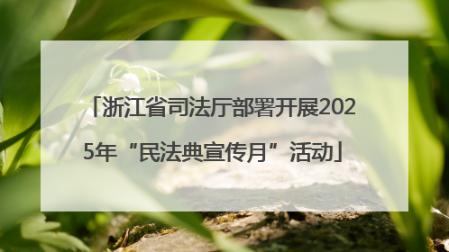 浙江省司法厅部署开展2025年“民法典宣传月”活动