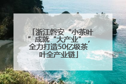 浙江磐安“小茶叶”成就“大产业”，全力打造50亿级茶叶全产业链