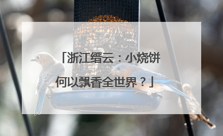 浙江缙云：小烧饼何以飘香全世界？