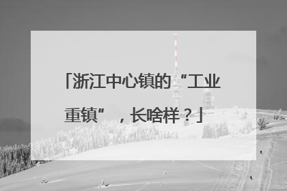 浙江中心镇的“工业重镇”，长啥样？