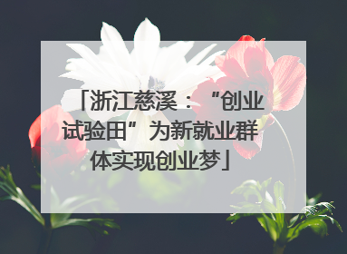 浙江慈溪：“创业试验田”为新就业群体实现创业梦