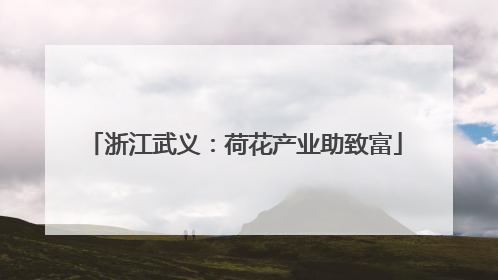 浙江武义：荷花产业助致富