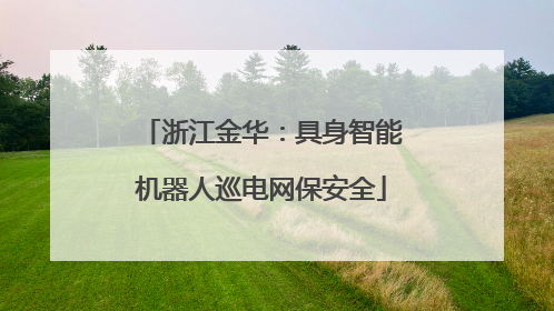 浙江金华：具身智能机器人巡电网保安全