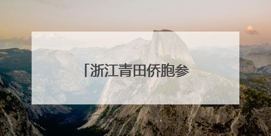 浙江青田侨胞参与海内外龙舟赛