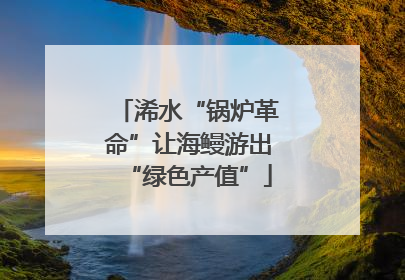 浠水“锅炉革命”让海鳗游出“绿色产值”