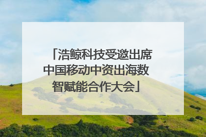 浩鲸科技受邀出席中国移动中资出海数智赋能合作大会