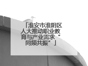 淮安市淮阴区人大推动职业教育与产业需求“同频共振”