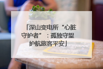 深山变电所“心脏守护者”：孤独守望护航旅客平安