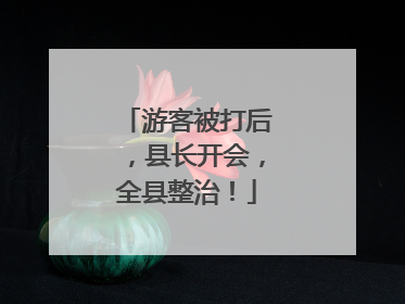 游客被打后，县长开会，全县整治！