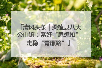 清风头条｜桑植县八大公山镇：系好“思想扣” 走稳“青廉路”