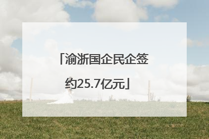 渝浙国企民企签约25.7亿元