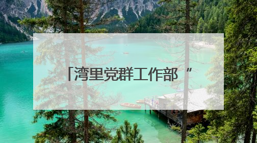 湾里党群工作部“大部制”改革：激活效能引擎，构建高效工作新格局