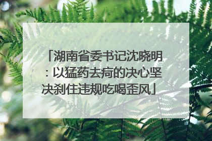湖南省委书记沈晓明：以猛药去疴的决心坚决刹住违规吃喝歪风