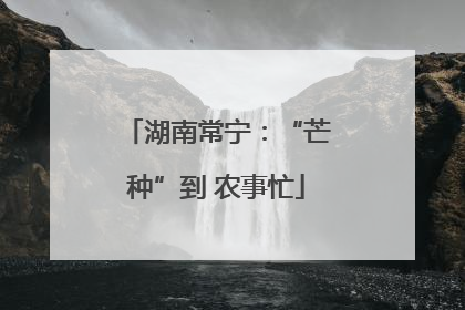 湖南常宁：“芒种”到 农事忙